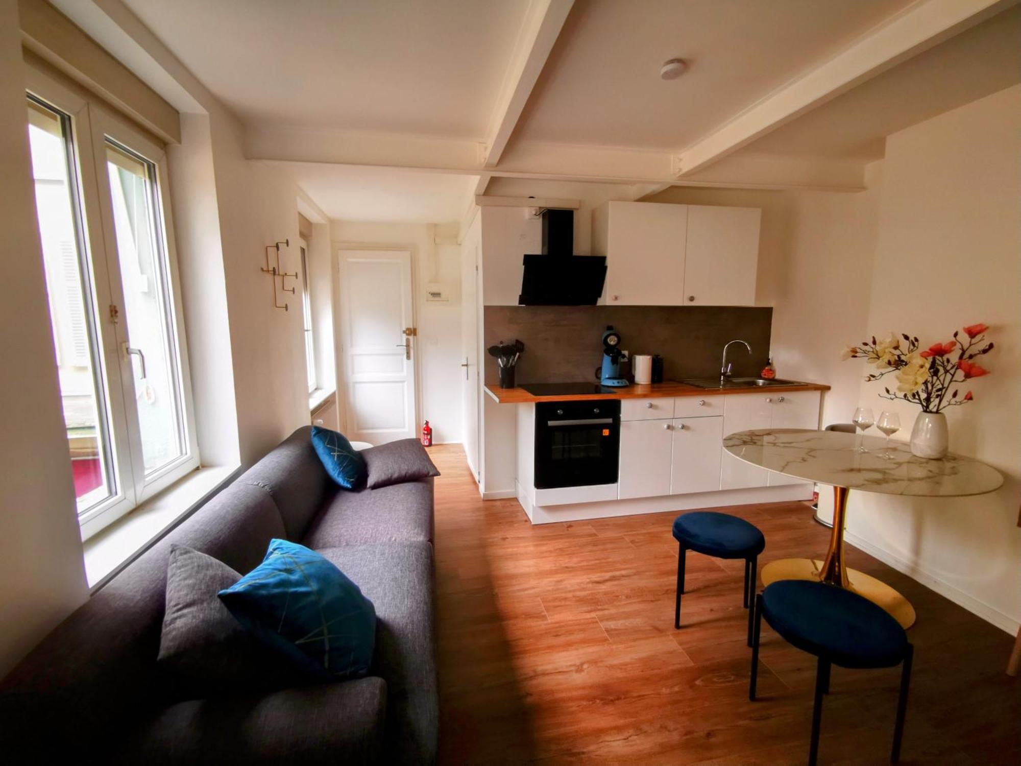 Deluxe Studio Tout Equipe - Hyper Centre Historique Mulhouse Luaran gambar