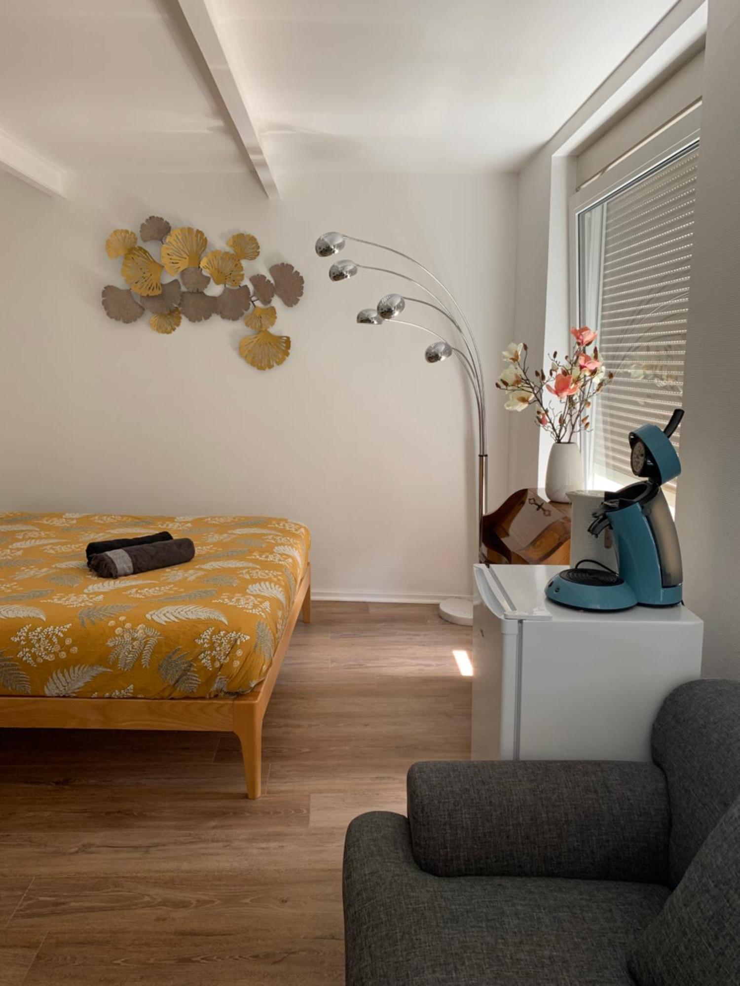 Deluxe Studio Tout Equipe - Hyper Centre Historique Mulhouse Luaran gambar